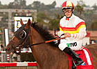 Drysdale Duo Works for Hollywood Turf Cup