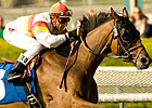 No Standout in Del Mar Handicap No Standout in Del Mar Handicap