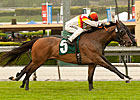 Bourbon Bay Looks for Third San Luis Rey Win Bourbon Bay Looks for Third San Luis Rey Win