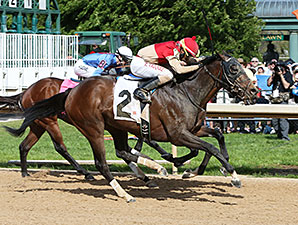 Charging Bourbonize Best in Northern Spur Charging Bourbonize Best in Northern Spur