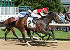Charging Bourbonize Best in Northern Spur Charging Bourbonize Best in Northern Spur