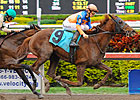 Bowman's Causeway Florida Derby Bound