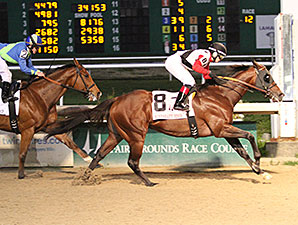 Bradester Digs Deep for First Stakes Tally Bradester Digs Deep for First Stakes Tally