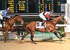 Bradester Digs Deep for First Stakes Tally Bradester Digs Deep for First Stakes Tally