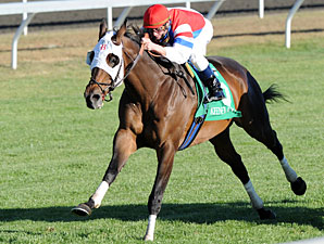 Brass Hat to be Paraded at Keeneland Brass Hat to be Paraded at Keeneland