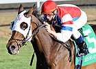Clark Handicap Next for Brass Hat
