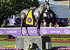 Breeders' Cup Reports 8% Hike in Total Handle Breeders' Cup Reports 8% Hike in Total Handle