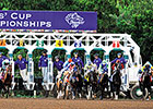 CHRB Undertakes Review of Interference Rule CHRB Undertakes Review of Interference Rule
