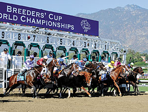 Breeders' Cup: Tradition, But Not Status Quo Breeders' Cup: Tradition, But Not Status Quo