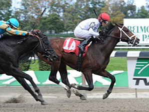Graded Stakes Winner Brethren to Journeyman Graded Stakes Winner Brethren to Journeyman