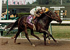 Stallion Brian's Time Dies in Japan Stallion Brian's Time Dies in Japan