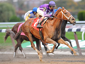 Bribon Bounces Back for Bold Ruler Triumph Bribon Bounces Back for Bold Ruler Triumph