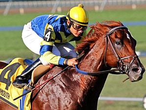 Bridgetown to Stand in NY at Questroyal North Bridgetown to Stand in NY at Questroyal North