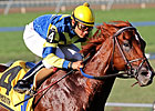Bridgetown to Stand in NY at Questroyal North Bridgetown to Stand in NY at Questroyal North