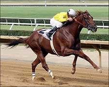 Bright One Keeps Rolling in West Virginia Derby Bright One Keeps Rolling in West Virginia Derby