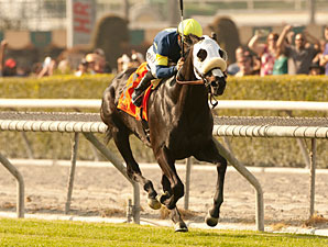 Bright Thought Sets Turf Mark in San Luis Rey Bright Thought Sets Turf Mark in San Luis Rey