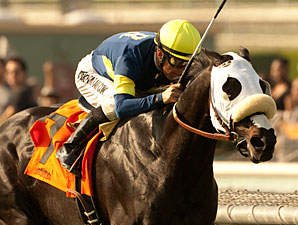 Bright Thought Set World Mark in San Luis Rey Bright Thought Set World Mark in San Luis Rey