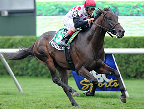 Brilliant Speed to Try Breeders' Cup Classic Brilliant Speed to Try Breeders' Cup Classic