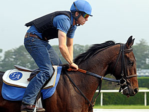 Brilliant Speed Has Big Fan in Owner Weber Brilliant Speed Has Big Fan in Owner Weber