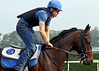 Brilliant Speed Has Big Fan in Owner Weber