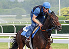 Haskin's Belmont Report: Bred Brilliantly Haskin's Belmont Report: Bred Brilliantly