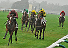 Britain Struggling with Declining Foal Crop Britain Struggling with Declining Foal Crop
