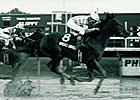 Haskin: Broad Brush Leaves Mark on Derby