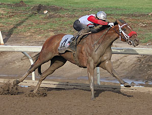 Broadway Empire Smash Hit in Canadian Derby Broadway Empire Smash Hit in Canadian Derby