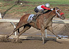 Broadway Empire Smash Hit in Canadian Derby Broadway Empire Smash Hit in Canadian Derby