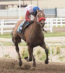 Broadway Empire Heads Packed Canadian Derby Broadway Empire Heads Packed Canadian Derby