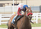 Broadway Empire Heads Packed Canadian Derby Broadway Empire Heads Packed Canadian Derby