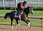 Speedy Broadway's Alibi Ready for Lilies