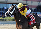 Two Fillies Confirmed for Oaks; One Out Two Fillies Confirmed for Oaks; One Out