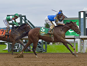 Brody's Cause, Destin Top Tampa Bay Derby