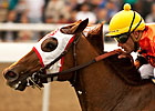 Multiple Graded Winner Broken Dreams Retired Multiple Graded Winner Broken Dreams Retired