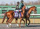 Broken Spell Ruled Out of KY Oaks Broken Spell Ruled Out of KY Oaks