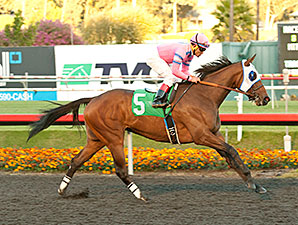 Broken Sword Never Looks Back in Bayakoa Win Broken Sword Never Looks Back in Bayakoa Win