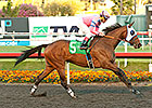 Broken Sword Never Looks Back in Bayakoa Win Broken Sword Never Looks Back in Bayakoa Win