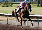 Hollendorfer Sends Out Pair in Bayakoa Hollendorfer Sends Out Pair in Bayakoa