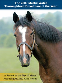 MarketWatch's Top Broodmares of 2008 MarketWatch's Top Broodmares of 2008