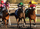 Brooklynsway Wins Canada's Princess Elizabeth Brooklynsway Wins Canada's Princess Elizabeth