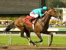 Brother Derek Flashes :58 4/5 Work at Del Mar Brother Derek Flashes :58 4/5 Work at Del Mar