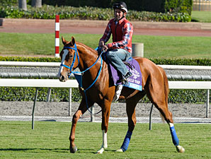 Brown Almighty Makes Smarty Jones Dirt Debut