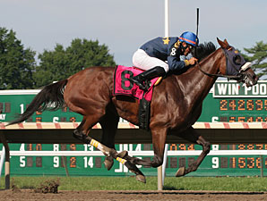 Brushed by a Star Wires Molly Pitcher Field Brushed by a Star Wires Molly Pitcher Field