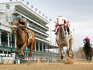 Brushed by a Star Prevails in Chilukki