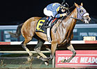 Brushed by a Star Tops Allaire DuPont Distaff Brushed by a Star Tops Allaire DuPont Distaff