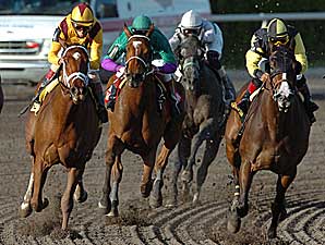 Bsharpsonata Stays Hot, Wins Davona Dale Bsharpsonata Stays Hot, Wins Davona Dale
