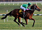 Bsharpsonata Seeks Third Stakes Win Bsharpsonata Seeks Third Stakes Win