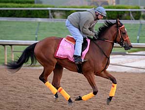 Daily Oaks Notes: April 29 Daily Oaks Notes: April 29