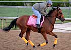 Daily Oaks Notes: April 29